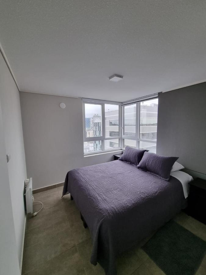Apart Hotel Bauerle & Apartamentos Темуко Экстерьер фото
